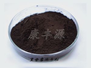 黑曲酶对人体有什么危害